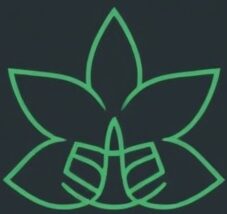 Palmvascularcg